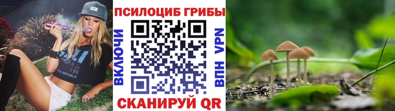Псилоцибиновые грибы Cubensis  Ставрополь 