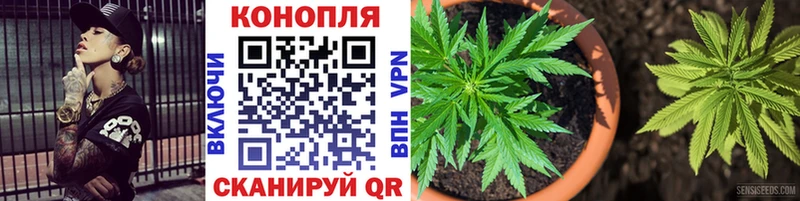 Шишки марихуана MAZAR Ставрополь